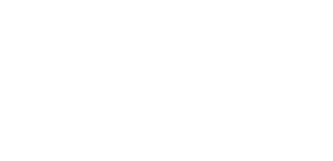 Fidelis Virtual Services White Logo